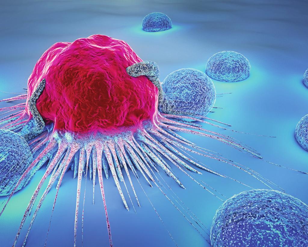 MHC Tetramers and Monomers for Immuno-Oncology and