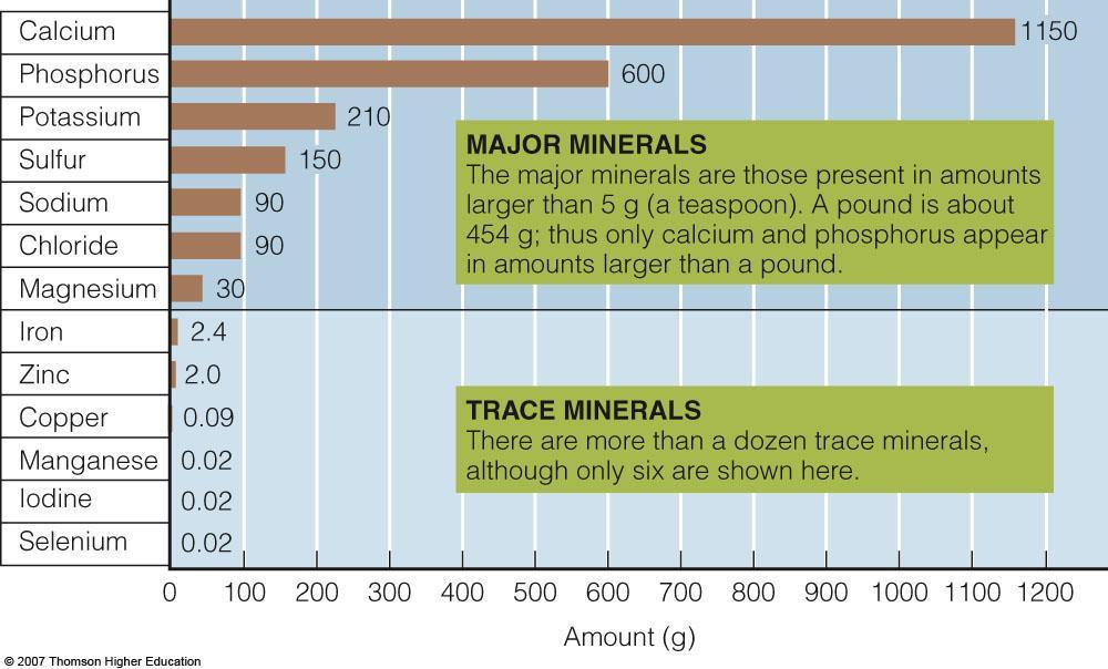 Minerals in