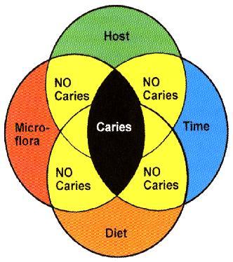 Dental Caries is an Infectious Disease 1. Host 2.