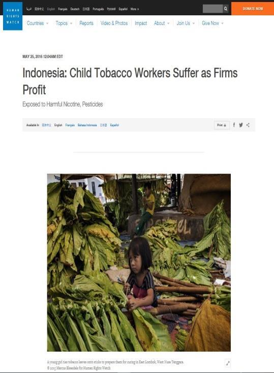 tobacco farm workers a review of the literature,