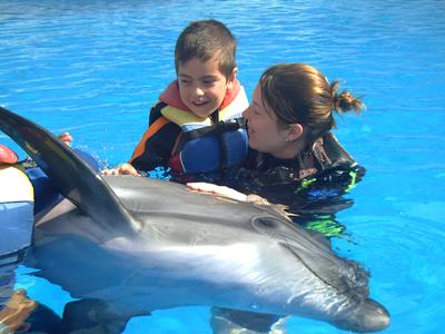 Activity 5 25: Dolphin Therapy a. Is this an observational study or an experiment? experiment Researchers controlled who got to swim with dolphins and who didn't. b.