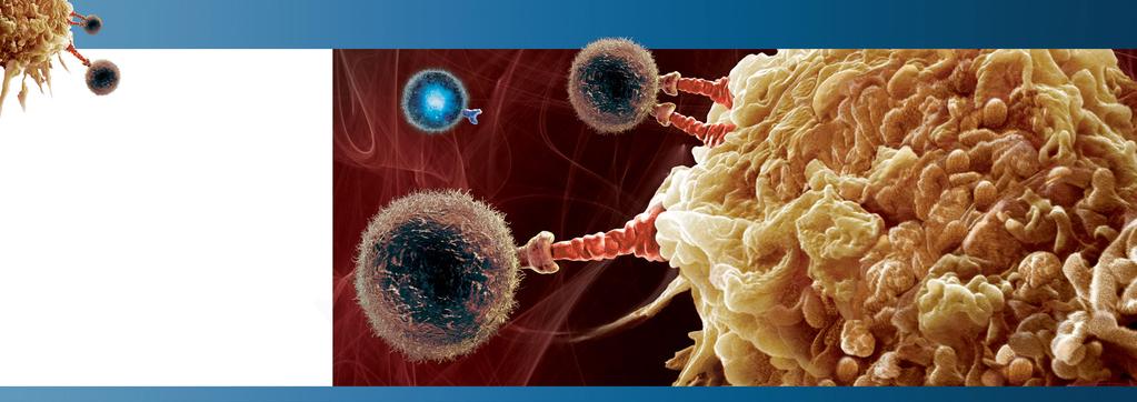 PD-L1 is expressed by some tumor cells Tumor cells have shown varying levels of PD-L1 expression.
