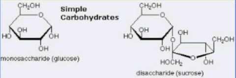 CLASSIFICATION Carbohydrates Simple sugar Complex sugar