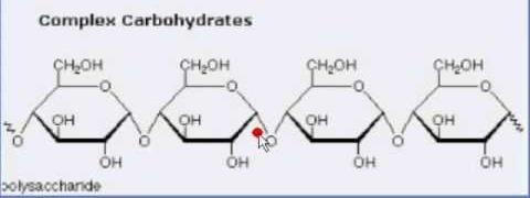 Polysaccharides -Complex carbohydrates can be broken
