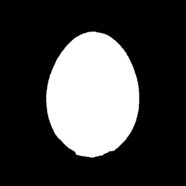 Egg vs.