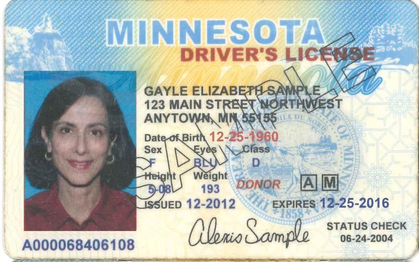 Minnesota License and ID Adult and Minor
