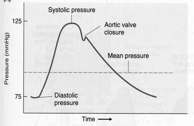 2. Normal Range of Arterial Pressure Mean arterial pressure Ø Systolic pressure (Ps) the maximum of the pressure
