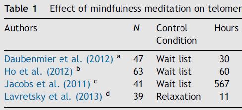 Meditation increases