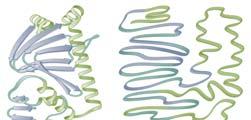 folding/activity of proteins