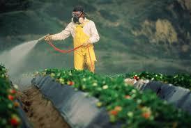 Pesticides Is any chemical substance