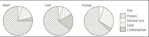 Food Tests Question 1 The pie charts below show the composition of three different organs from the body of an ox. The figures are percentages.