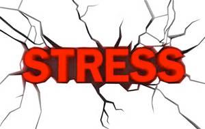 THE SCIENCE OF STRESS http://www.youtube.com/watch?