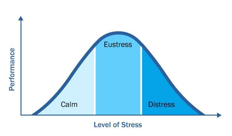 Stress isn t always a bad thing Eustress Good stress Marriage, promotion, new baby, graduation = changes Deadlines and challenges at work can make you productive and creative.
