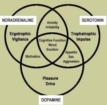 Neurotransmitters 50+ identified Excitatory: cause depolarization Inhibitory: