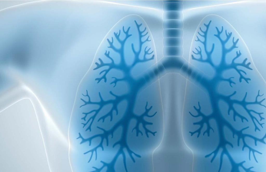 : Current Perspectives in Asthma,