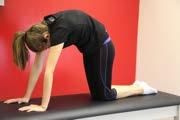Pelvic Tilts - Lie on your back with both knees bent and feet