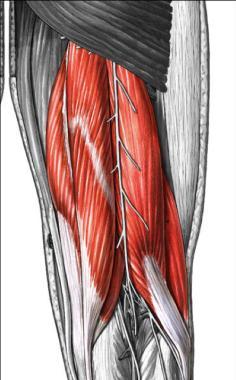 the inside as well as the outside of your hamstrings.