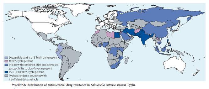 WORLDWIDE DISTRIBUTION OF ANTIMICROBIAL DRUG RESISTANCE IN SALMONELLA enterica serovar Typhi Crump JA, Sjölund-Karlsson M, Gordon MA, Parry CM. 15 July 2015.