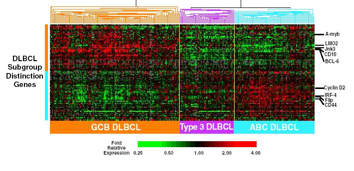 Gene Expression Profiling Identifies two Molecular