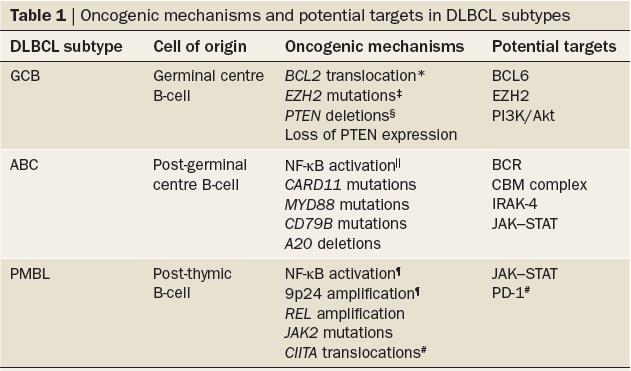 DLBCL Molecular Subtypes Have Different Oncogenic Mechanisms That May Be