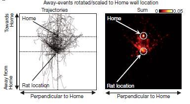 Hippocampal place-cell sequences depict future paths