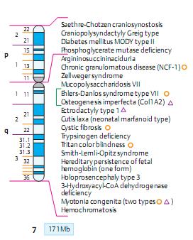 7 A group of inherited disorders of type1 collagen that