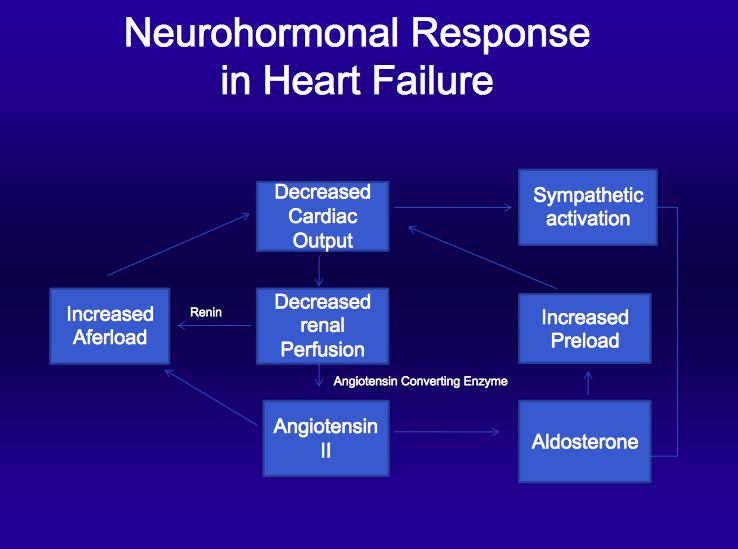 What is heart failure Multi-system syndrome occurring as a