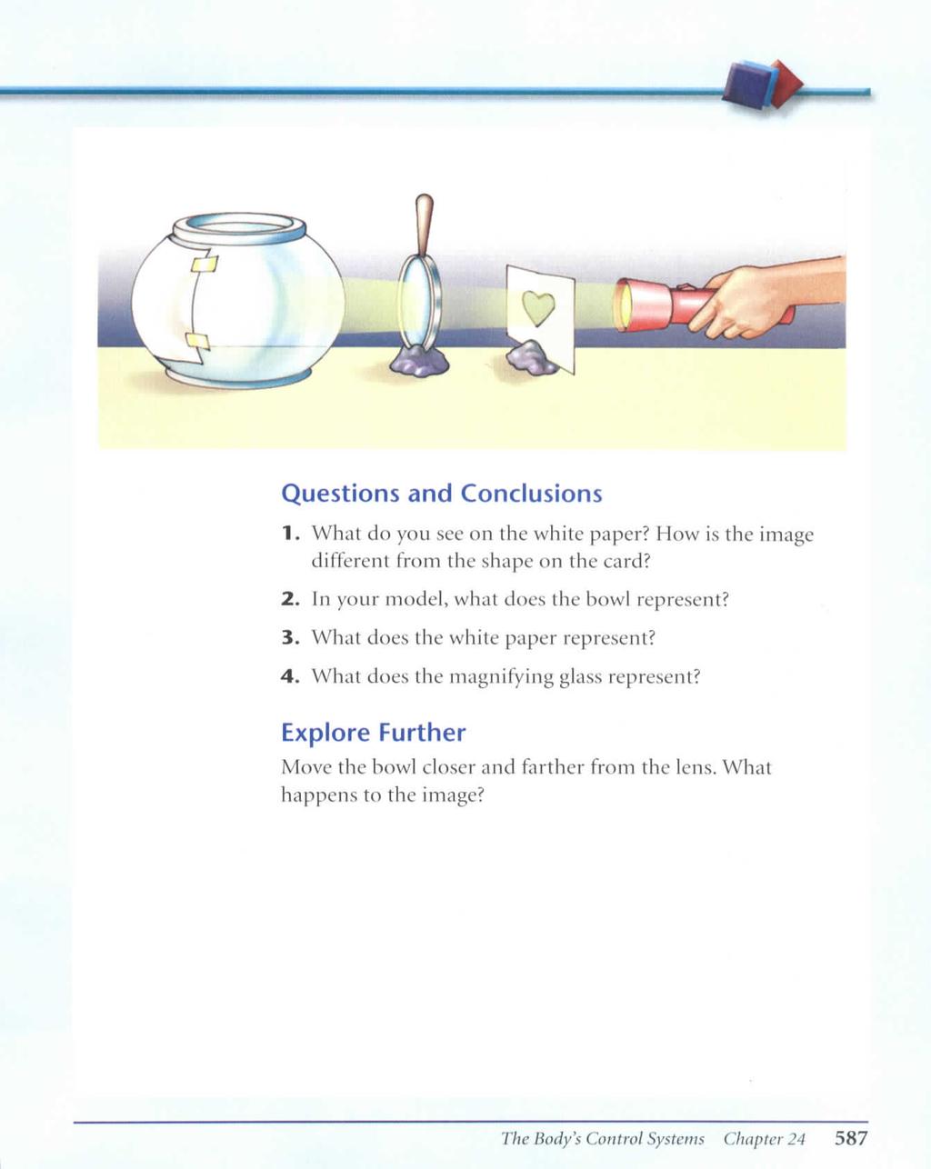 Questions and Conclusions 1. What do you see on the white paper? How is the image different from the shape on the card? 2. In your model, what does the bowl represent? 3.