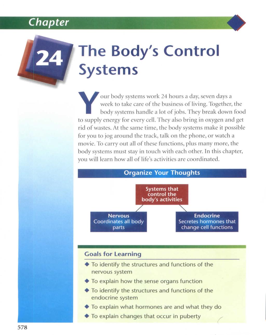 Chapter The Body's Control Systems Your body systems work 24 hours a day, seven days a week to take care of the business of living. Together, the body systems handle a lot of jobs.