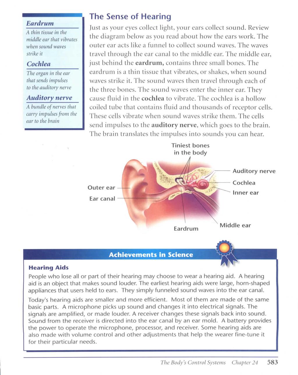Eardrum A thin tissue in the middle ear that vibrates when sound waves strike it Cochlea The organ in the ear that sends impulses to the auditory nerve Auditory nerve A bundle of nerves that carry