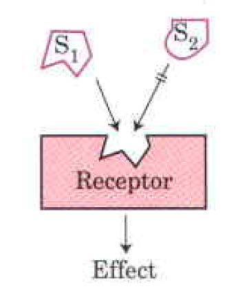 Specifičnost interakcije signalne molekule z receptorjem Specifičnost vezave: signalna molekula in vezavno mesto na receptorju sta komplementarna selektivna vezava visoka afiniteta