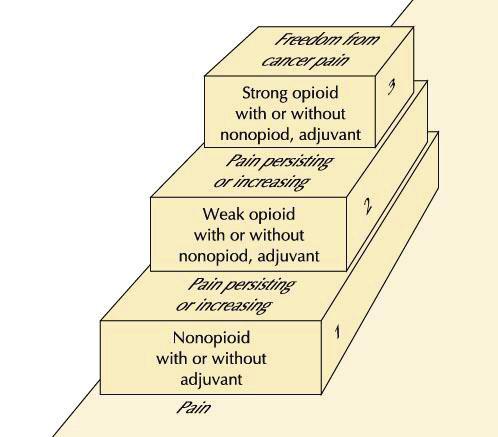 1.4 Pain Control The WHO pain ladder (44) (Figure 1) outlines the need for non-opioid and opioid analgesics until pain has been controlled.