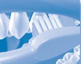 Brushing, Flossing and Rinsing Everyday Ways to Prevent Tooth Decay Brushing Dentists recommend a child-sized toothbrush with soft bristles.