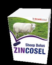to 11g/day for the control on just grass The Profit After subtracting the cost of the product, Cosecure Lamb gave extra profit of 7.05/ 8.37 per lamb (calculated at 2.00/ 2.