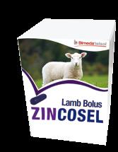 This equates to 3525 / 4185 extra profit per 500 lambs Zinc Deficiency & Zincosel Boluses Zinc Deficiency The Problem Zinc deficiency can be a problem for both sheep and lambs.