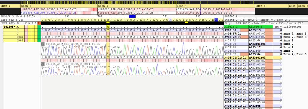 BS-72 Reference genotype: A*03:78,