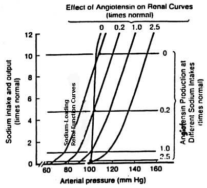 Figure 4. Arterial pressures, renal function curves, and angiotensin-ii (aldosterone) levels at different rates of sodium intake.