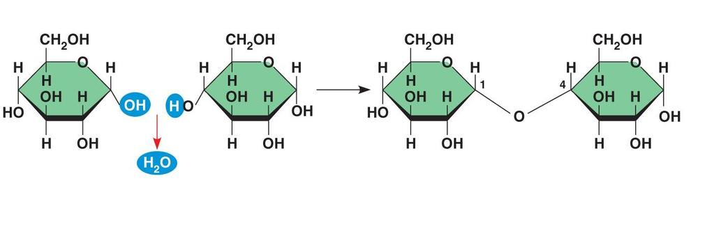 Dehydration reaction in the synthesis of