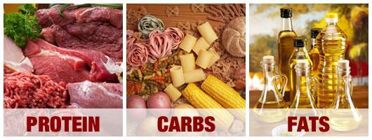 Three types of foods we digest Proteins From meats, dairy, egg, nuts, legumes