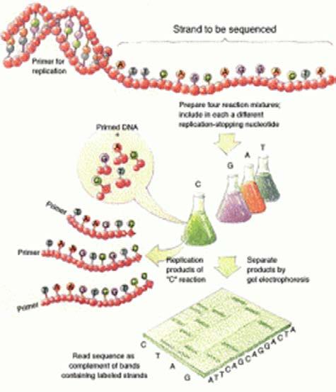 What are Molecular Profiling technologies?