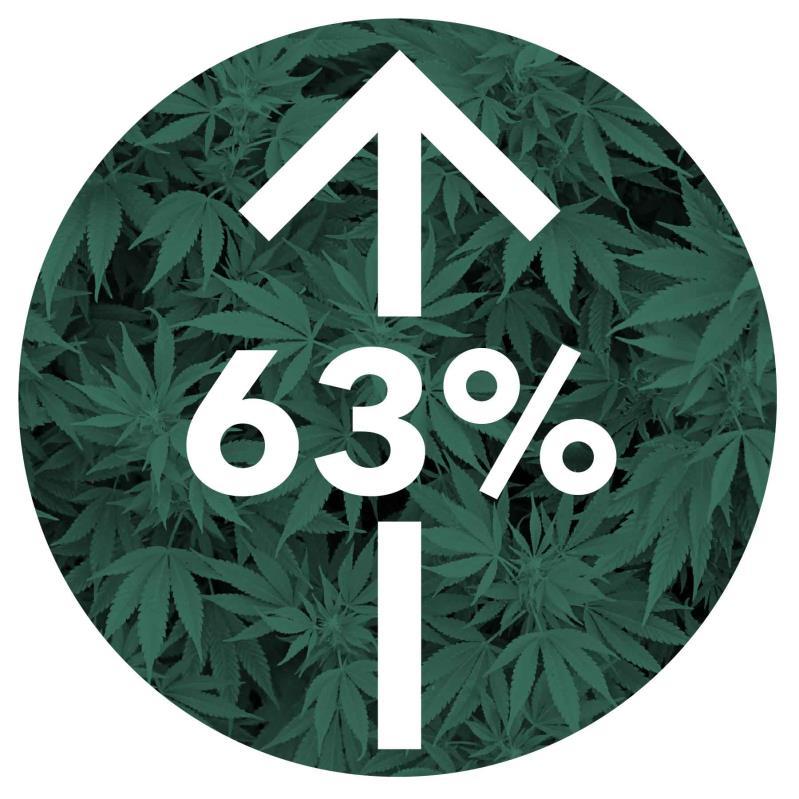 Adult Past Month Cannabis Use Adult past month cannabis use increased 63% in the two year average (2013/2014) since Colorado legalized recreational cannabis