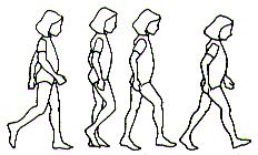 GAIT THERE IS NO NORMAL WE CALL THEM TODDLERS FOR A REASON WIDER STANCE RAPID CADENCE SHORT STEPS IT TAKES UNTIL AROUND AGE 3 FOR KIDS TO DISPLAY CLEAR ADULT WALKING PATTERNS DURING YOUR CHILD'S