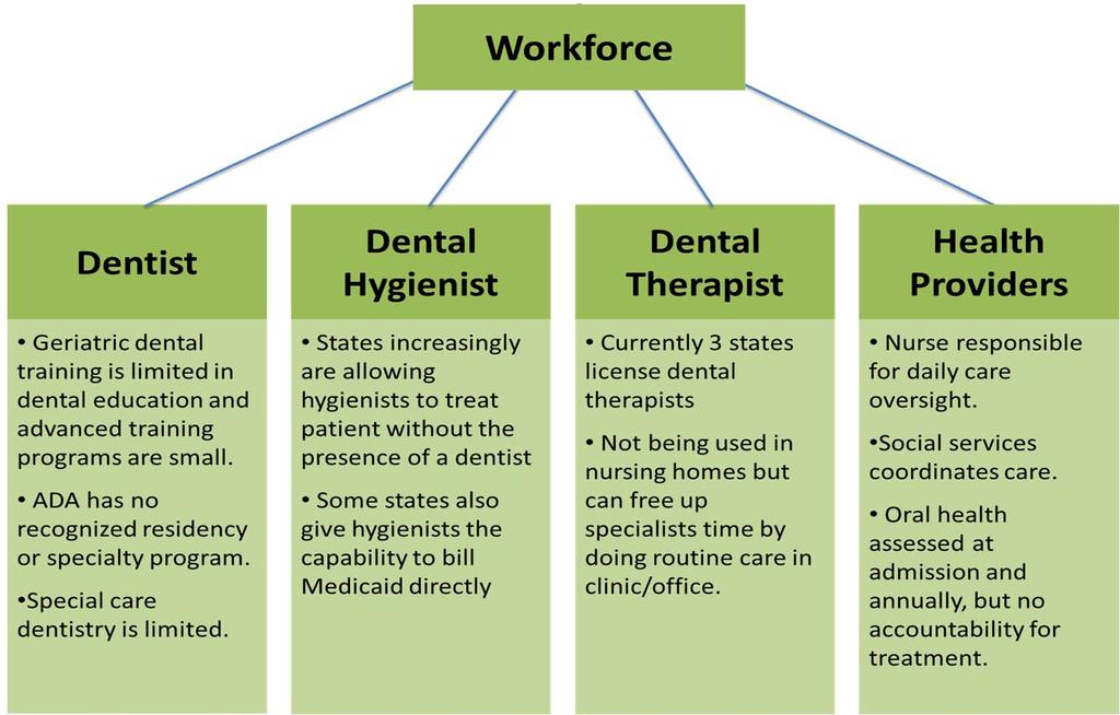 Key members of the workforce in providing oral health