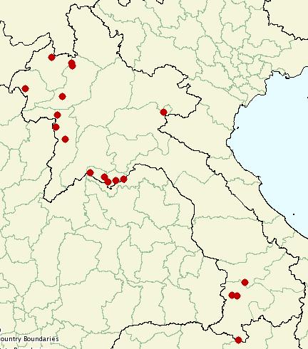 Buffalos movements in Lao PDR (2008-2009) Cattle