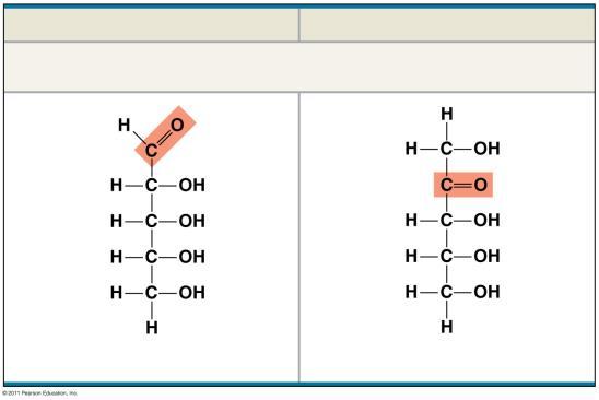3b Aldose (Aldehyde Sugar) Trioses: 3-carbon sugars (C 3 H 6 O 3 ) Ketose (Ketone Sugar) Aldose (Aldehyde