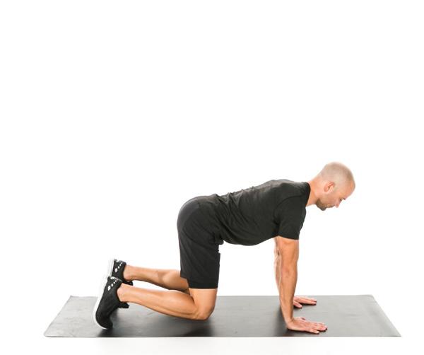 Exertion BEAR CRAWL HEEL PUSH 1 MIN Start in a table top position, with your knees beneath your hips and your hands beneath your shoulders.