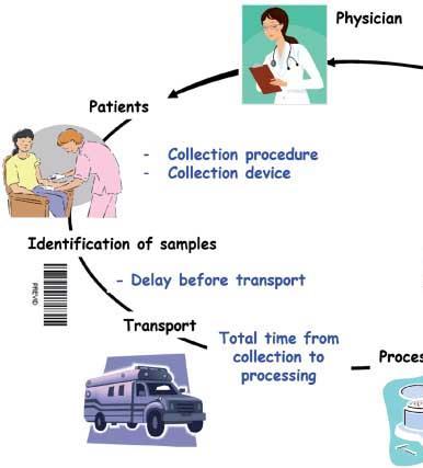 Pre-analytical phase Decision of Test Specimen type Context Routine diagnostic / National TB