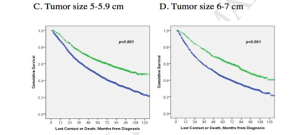 IB tumors < 4 cm in the adjuvant NSCLC trials