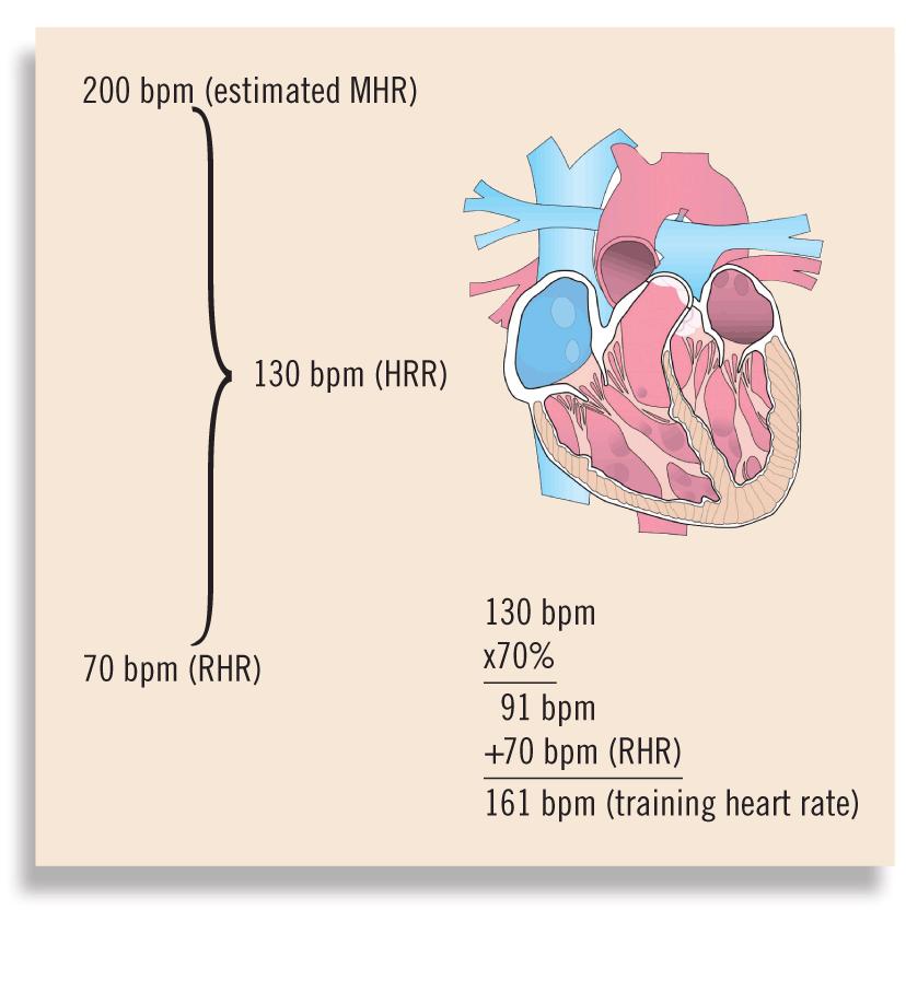 Monitoring Intensity Using Heart Rate Reserve (HRR) Heart-rate reserve (HRR) equals the difference between MHR and RHR HRR = MHR RHR Target HR (THR) = the desired HR during exercise The Karvonen