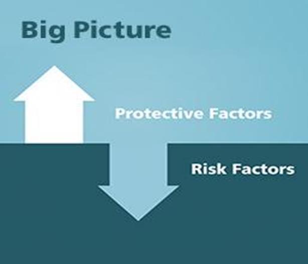 What Works in Prevention Protective Factors: conditions that buffer against risk